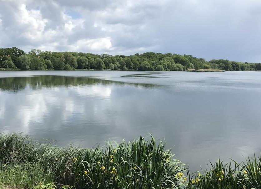 Buiten zicht Foto's