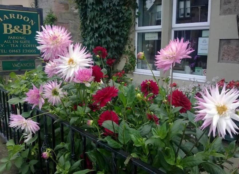 Buiten zicht Foto's