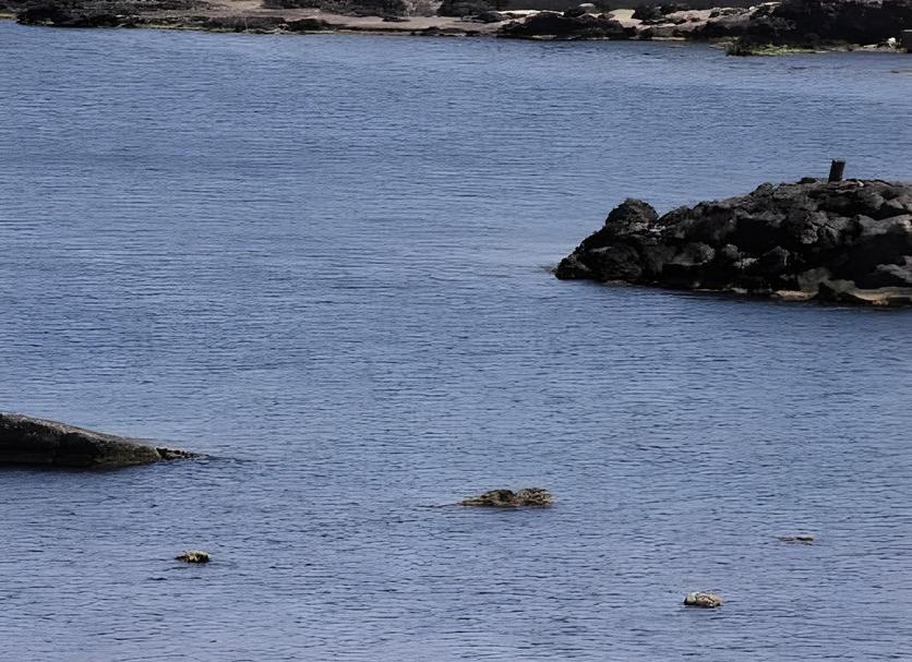 Strand Foto's