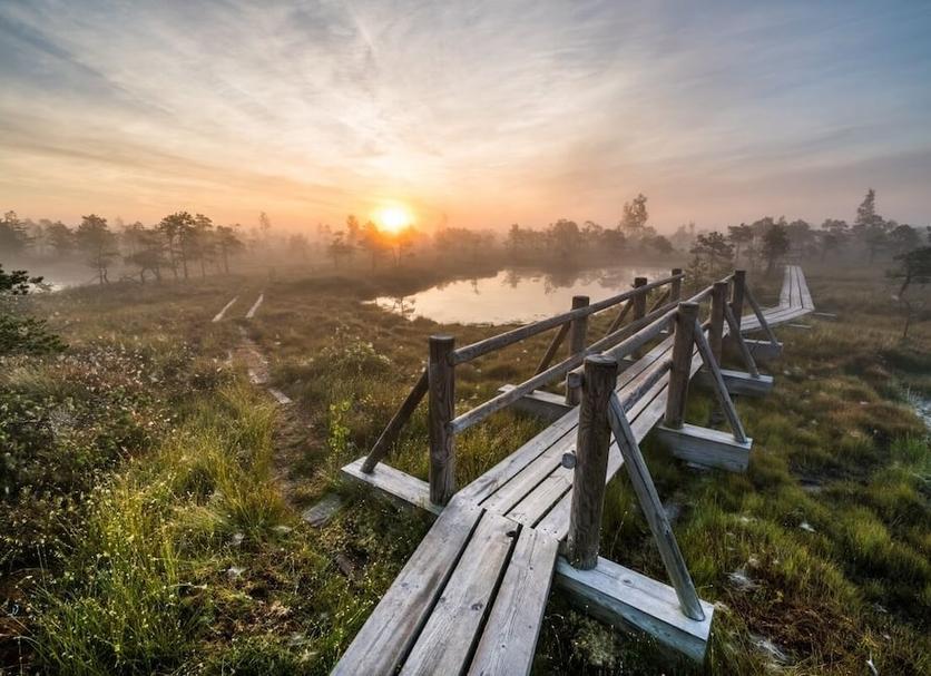 Buiten zicht Foto's