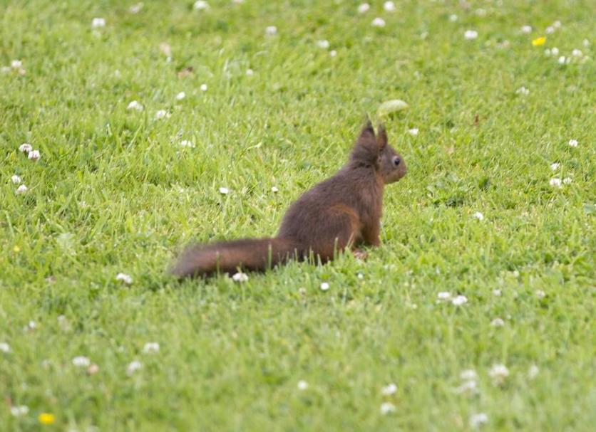 Andere Foto's