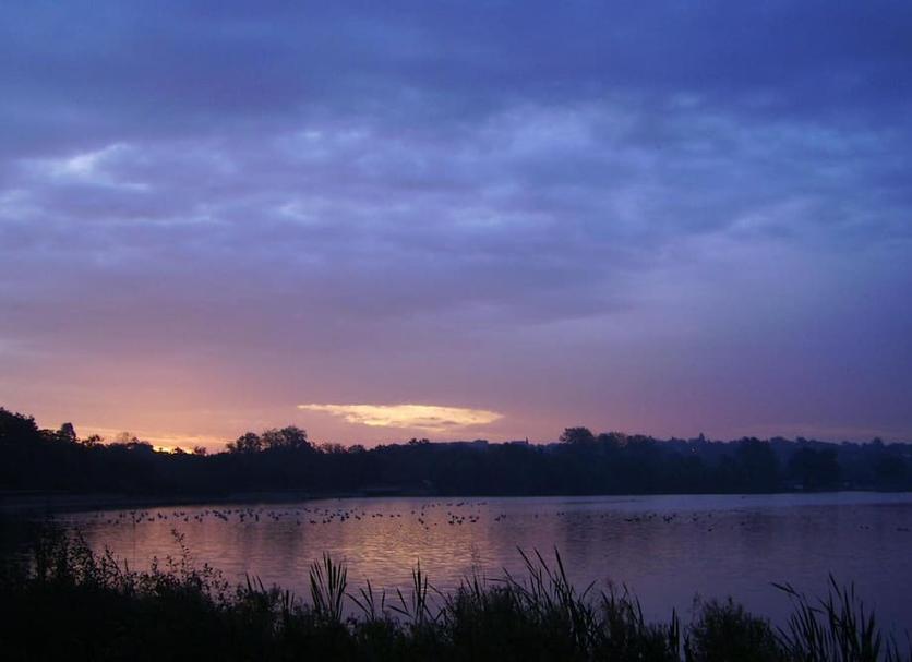 Buiten zicht Foto's