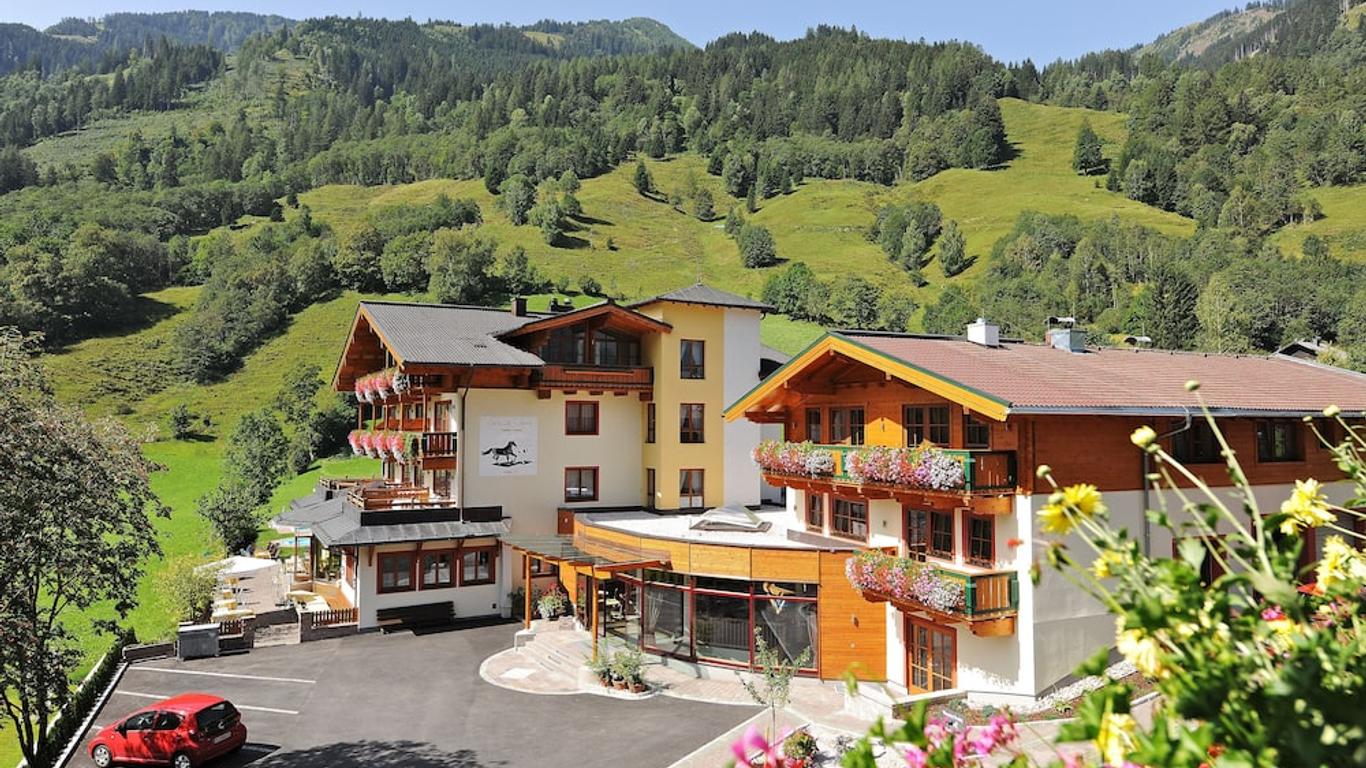 Feriendorf Ponyhof