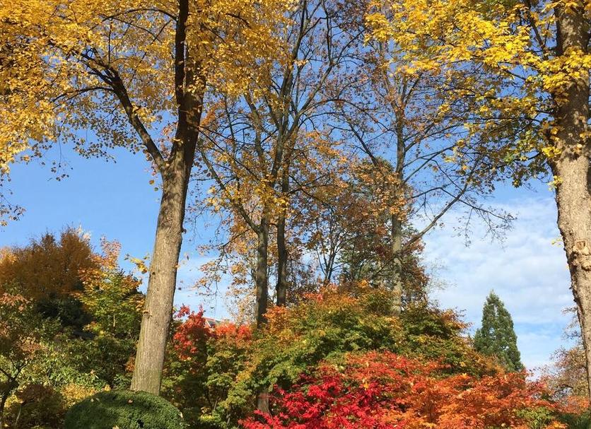 Buiten zicht Foto's