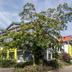 Gebouw