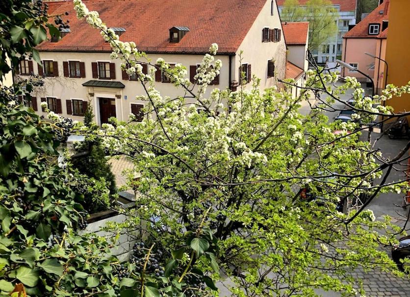 Buiten zicht Foto's