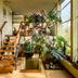 Trappen