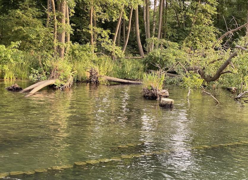 Buiten zicht Foto's
