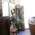 Andere