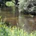Andere