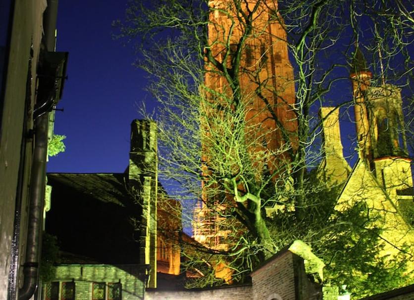 Buiten zicht Foto's