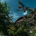 Andere