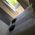 Andere