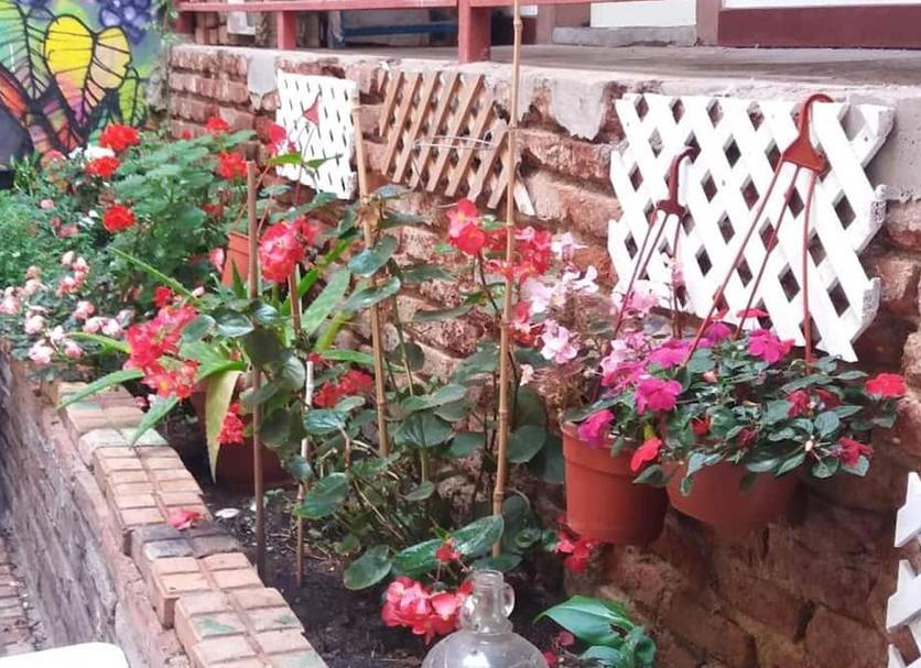 Buiten zicht Foto's