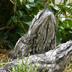 Andere