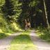 Andere