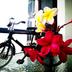 Andere
