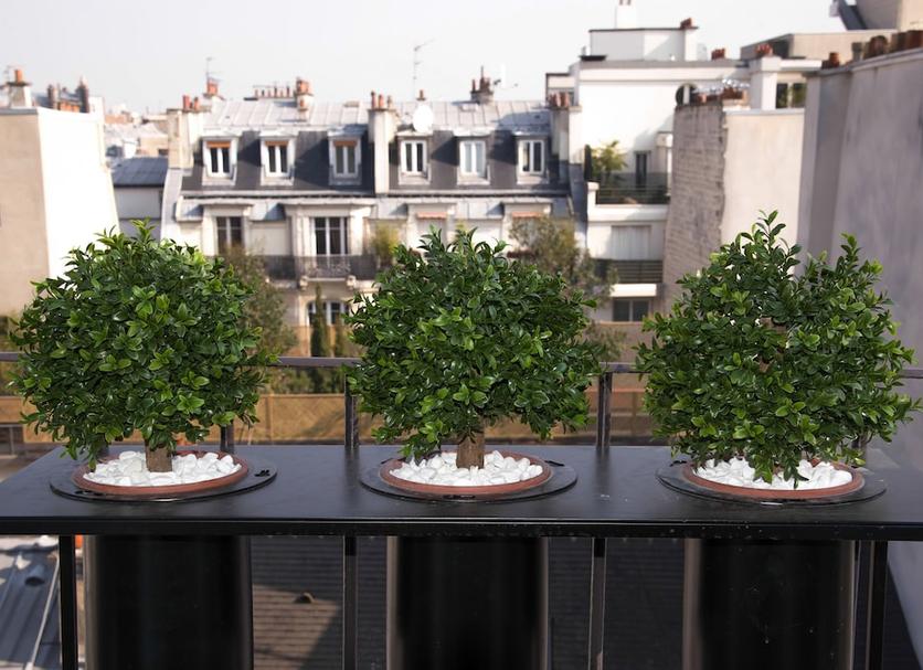 Balkon Foto's