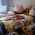 Andere