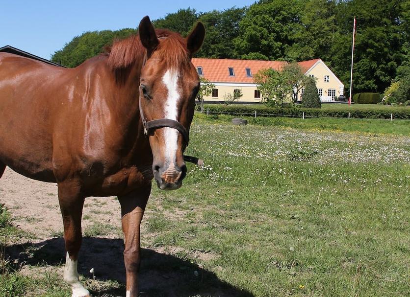 Andere Foto's
