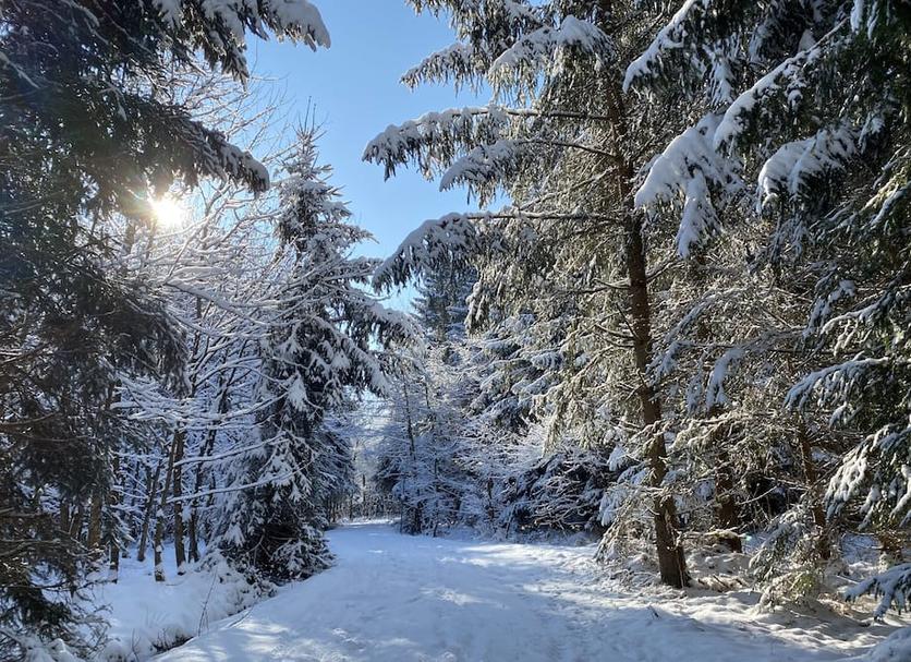 Buiten zicht Foto's