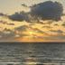 Andere