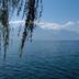 Andere