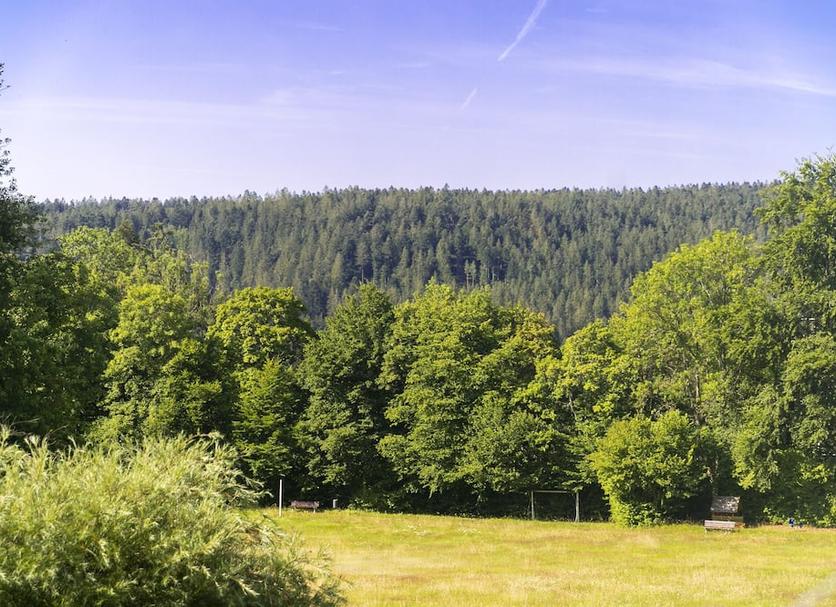 Buiten zicht Foto's
