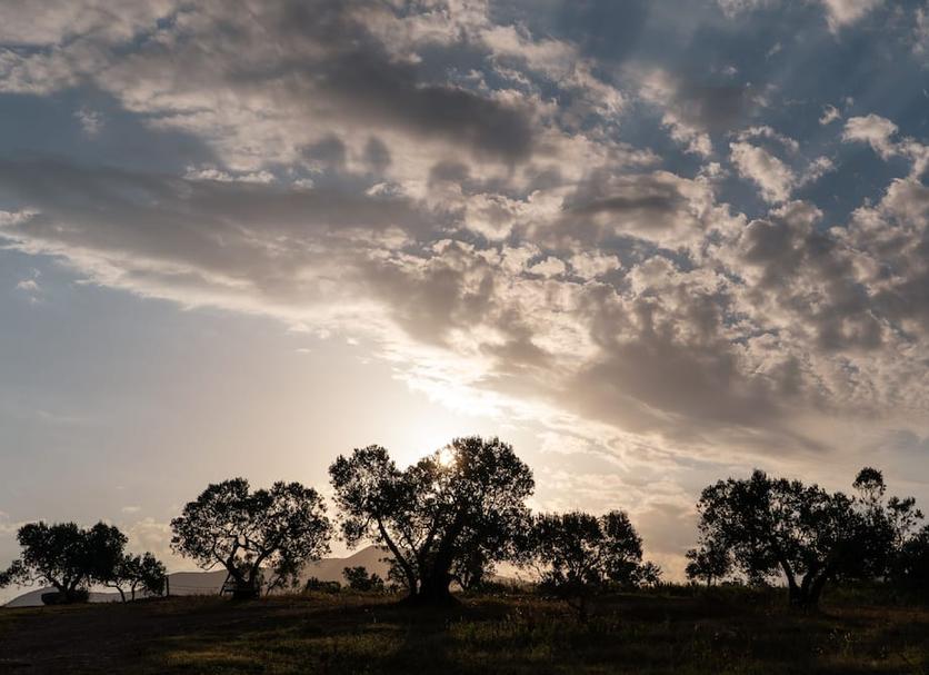 Buiten zicht Foto's