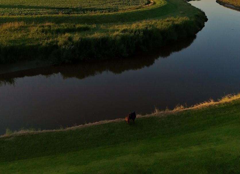Buiten zicht Foto's