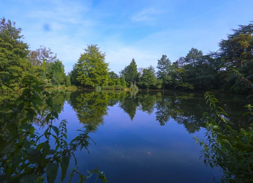 Buiten zicht Foto's