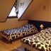 Andere
