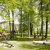 Andere