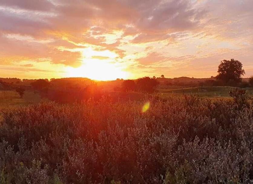 Buiten zicht Foto's
