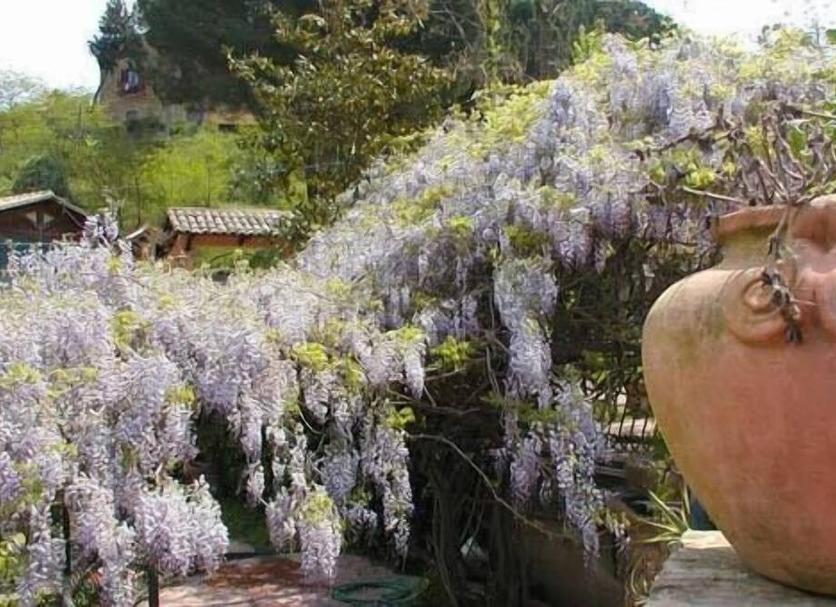 Buiten zicht Foto's