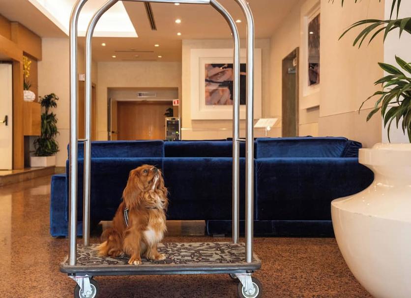 Lobby Foto's