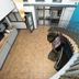 Trappen