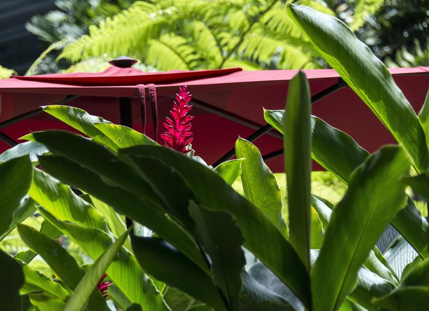 Buiten zicht Foto's