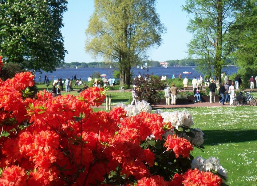Buiten zicht Foto's