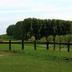 Andere