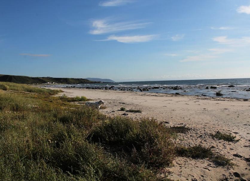 Strand Foto's
