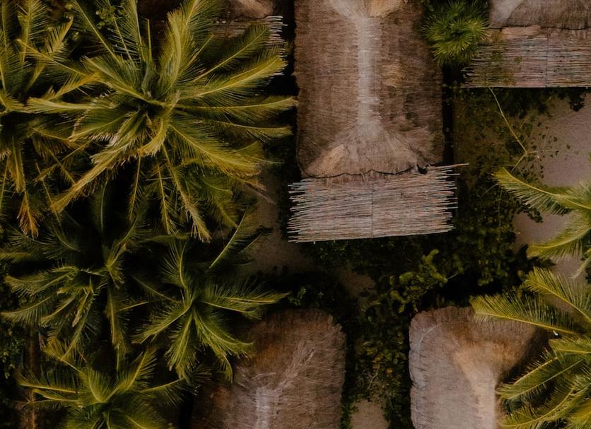 Buiten zicht Foto's