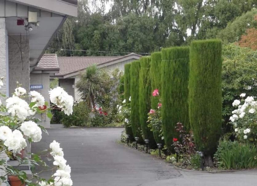 Buiten zicht Foto's