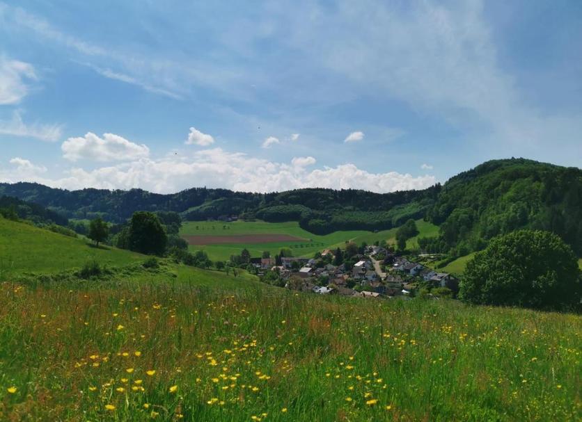 Buiten zicht Foto's