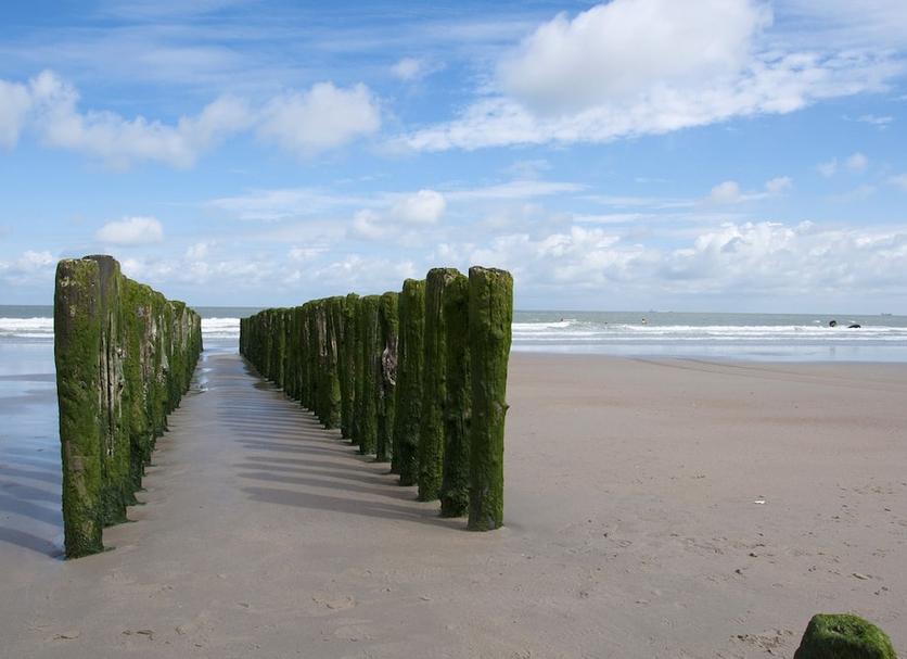 Andere Foto's