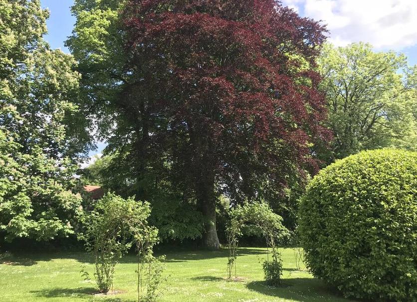 Buiten zicht Foto's