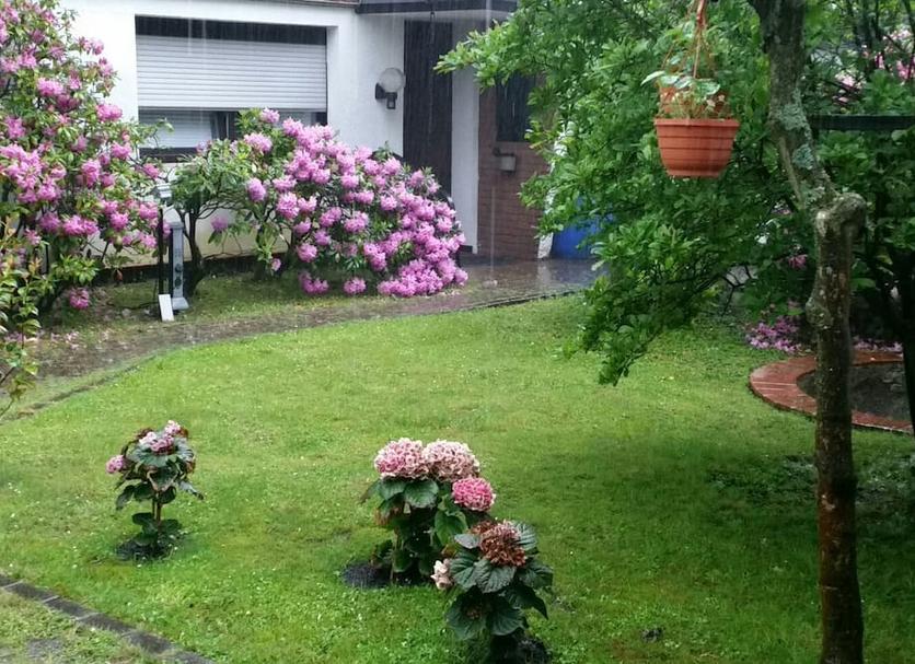 Buiten zicht Foto's