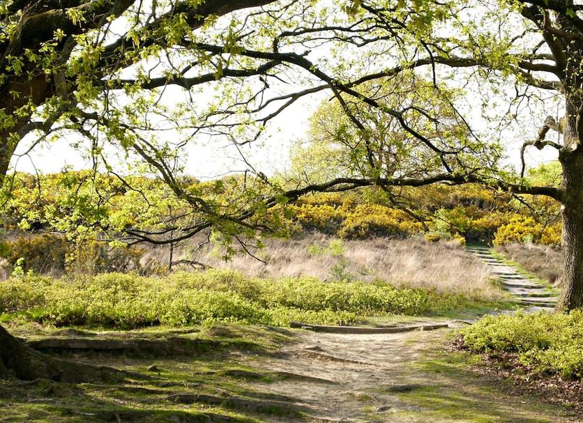 Buiten zicht Foto's