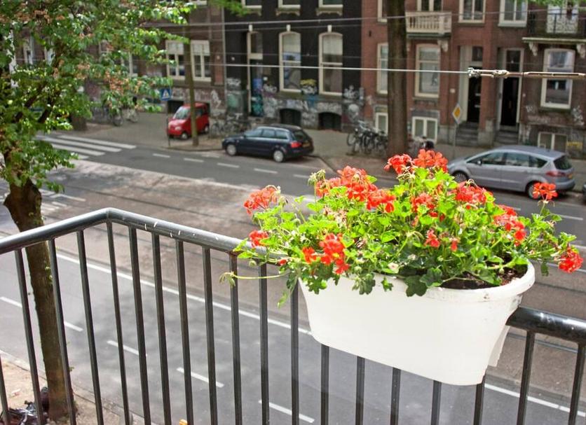 Buiten zicht Foto's