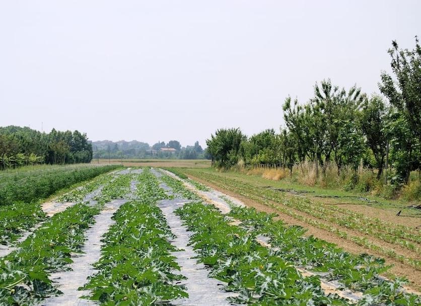 Buiten zicht Foto's
